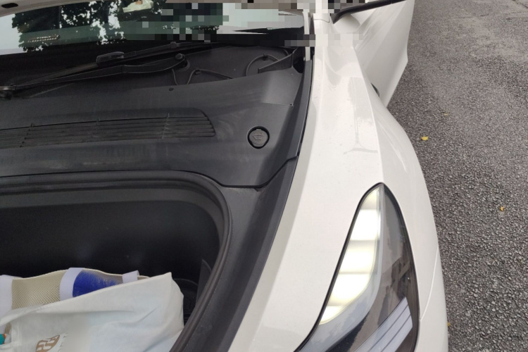 Tesla Model Y 2023 #29 Tesla Model Y 2023 car image #29