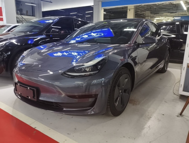 Tesla Model 3 2022 Tesla Model 3 2022 car image