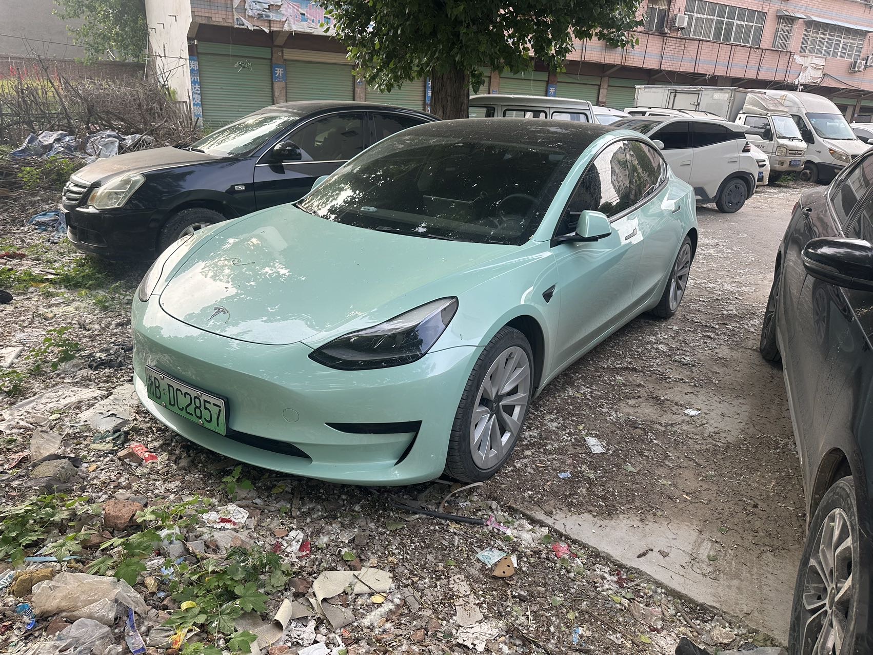 Tesla Model 3 2021 car image 