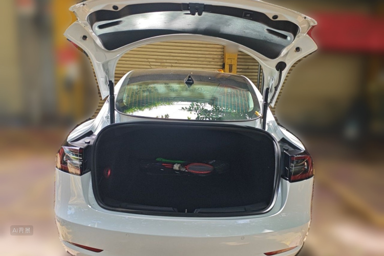 Tesla Model 3 2020 immagine di auto #21