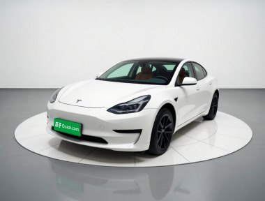 Tesla Model 3 2022 car image 