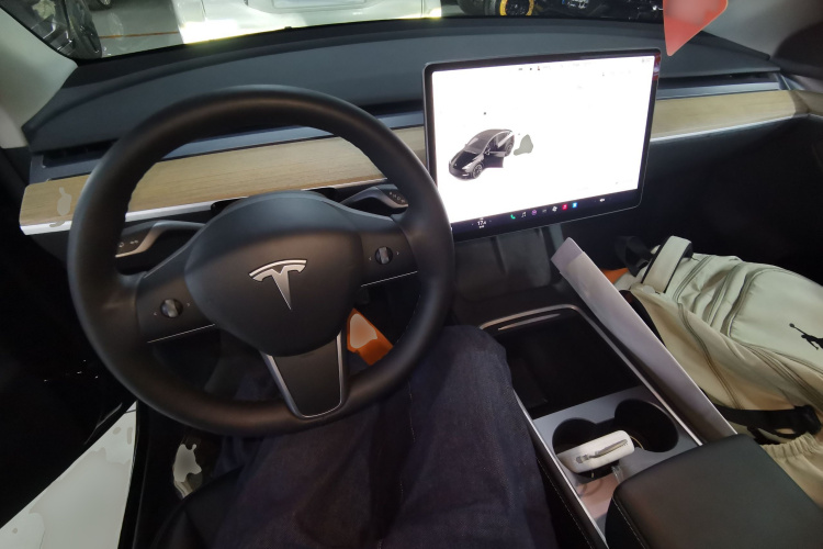 Tesla Model Y 2021 #10 Tesla Model Y 2021 car image #10