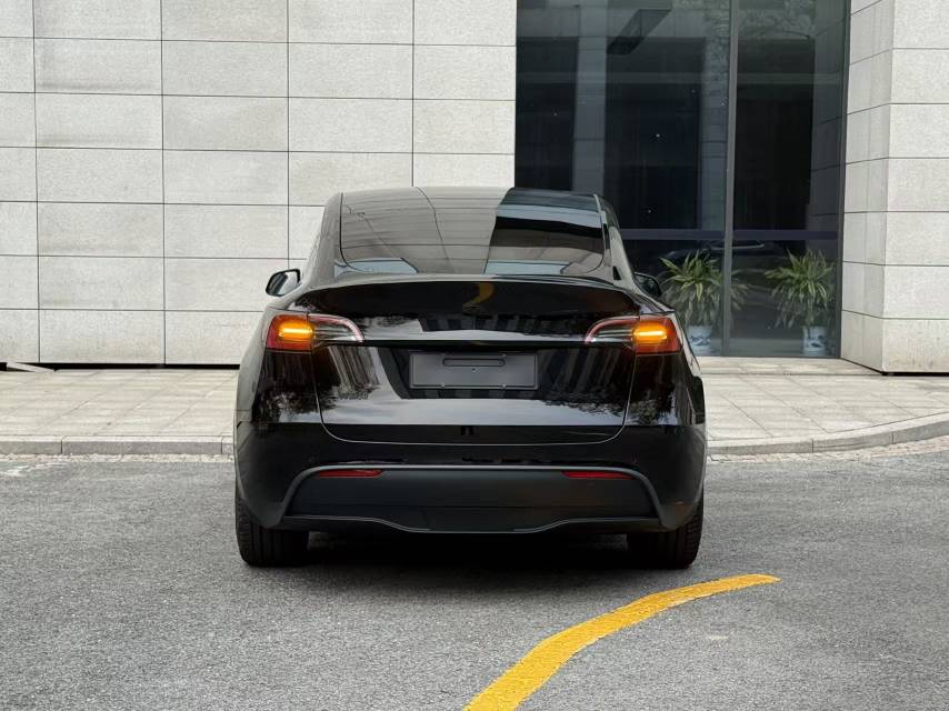 Tesla Model Y 2023 car image #10