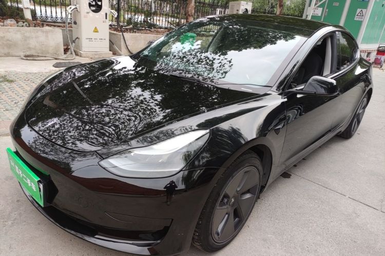 Tesla Model 3 2021 imagem de carro #2