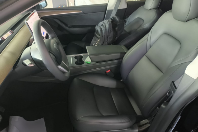 Tesla Model Y 2021 car image #19
