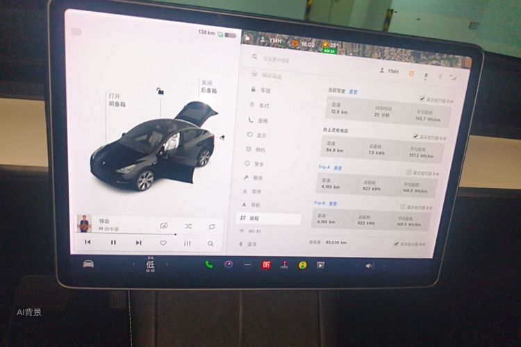 Tesla Model Y 2021 car image #13