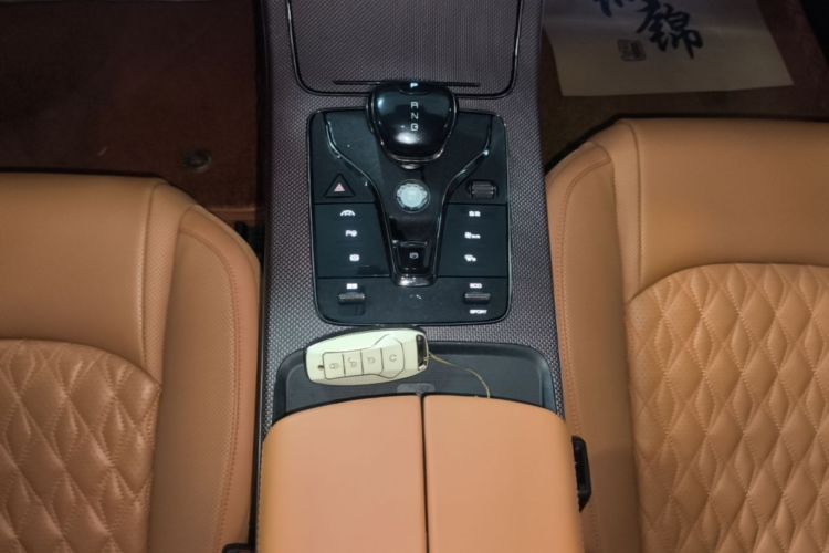 BYD Han 2022 #14 BYD Han 2022 immagine di auto #14