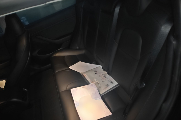 Tesla Model 3 2021 #17 Tesla Model 3 2021 car image #17