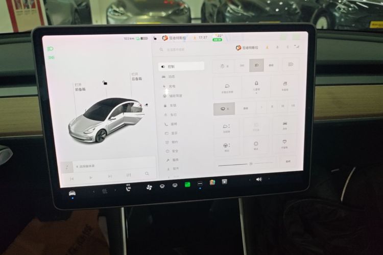Tesla Model 3 2020 #13 Tesla Model 3 2020 صورة سيارة #13