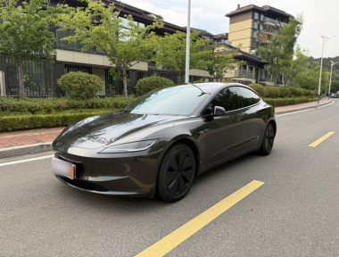 Tesla Model 3 2023 immagine di auto 