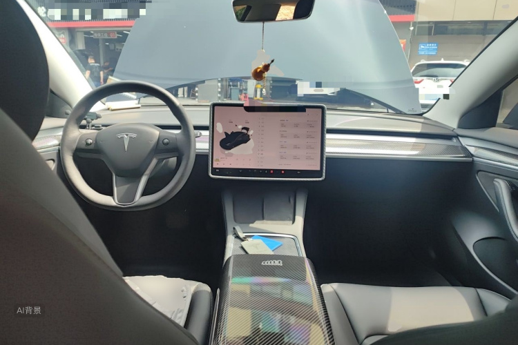 Tesla Model 3 2022 car image #11