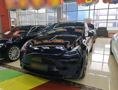 Tesla Model Y 2023 car image 