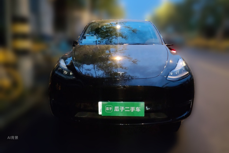 Tesla Model Y 2021 car image #3