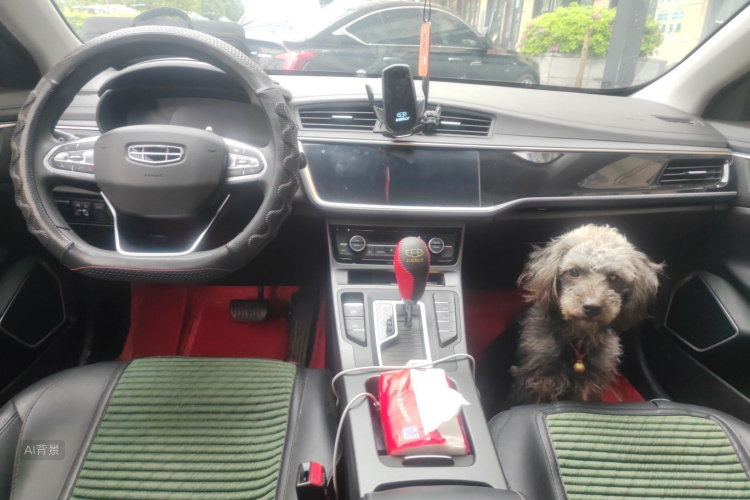 GEELY Emgrand GL 2021 imagem de carro #11