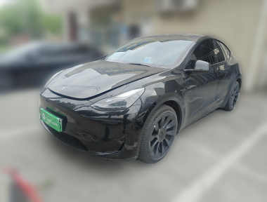 Tesla Model Y 2022 Tesla Model Y 2022 car image