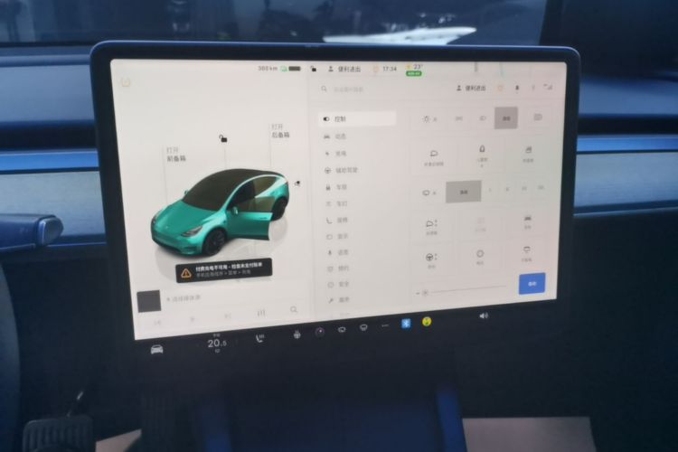 Tesla Model Y 2022 car image #17