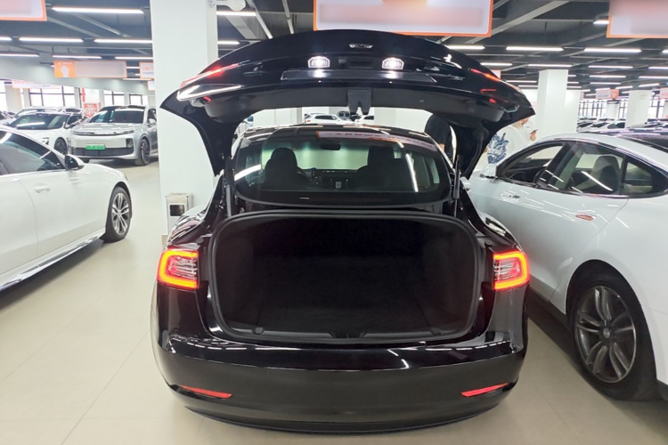 Tesla Model 3 2023 car image #21