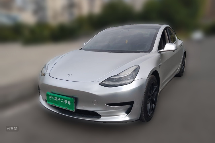 Tesla Model 3 2020 car image #2