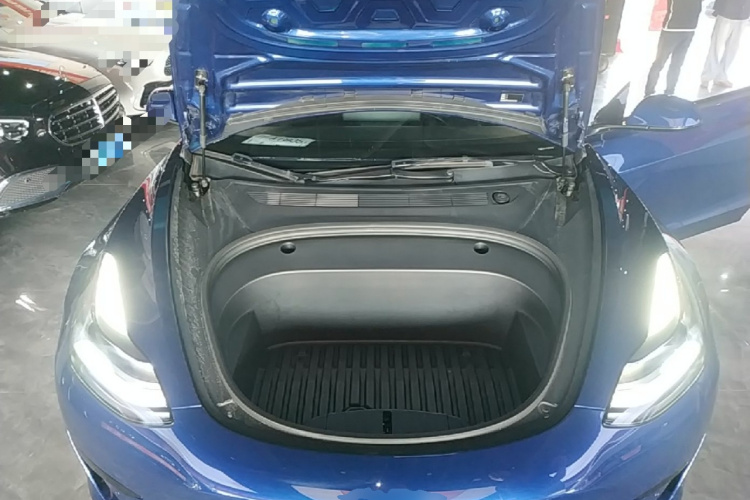 Tesla Model 3 2021 car image #20