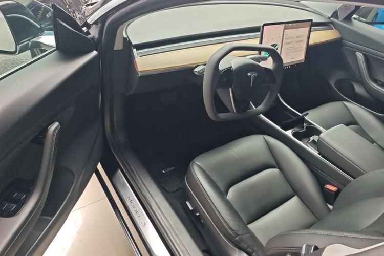 Tesla Model 3 2020 car image #19
