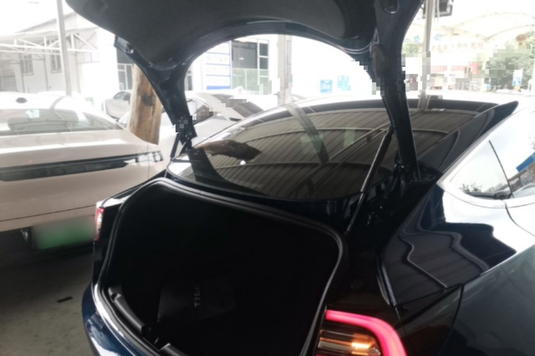 Tesla Model 3 2020 car image #19