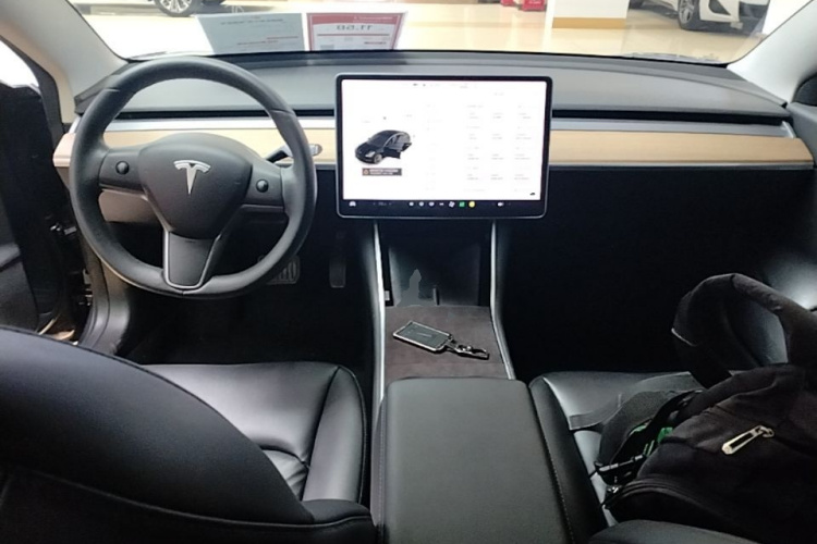 Tesla Model 3 2020 car image #10