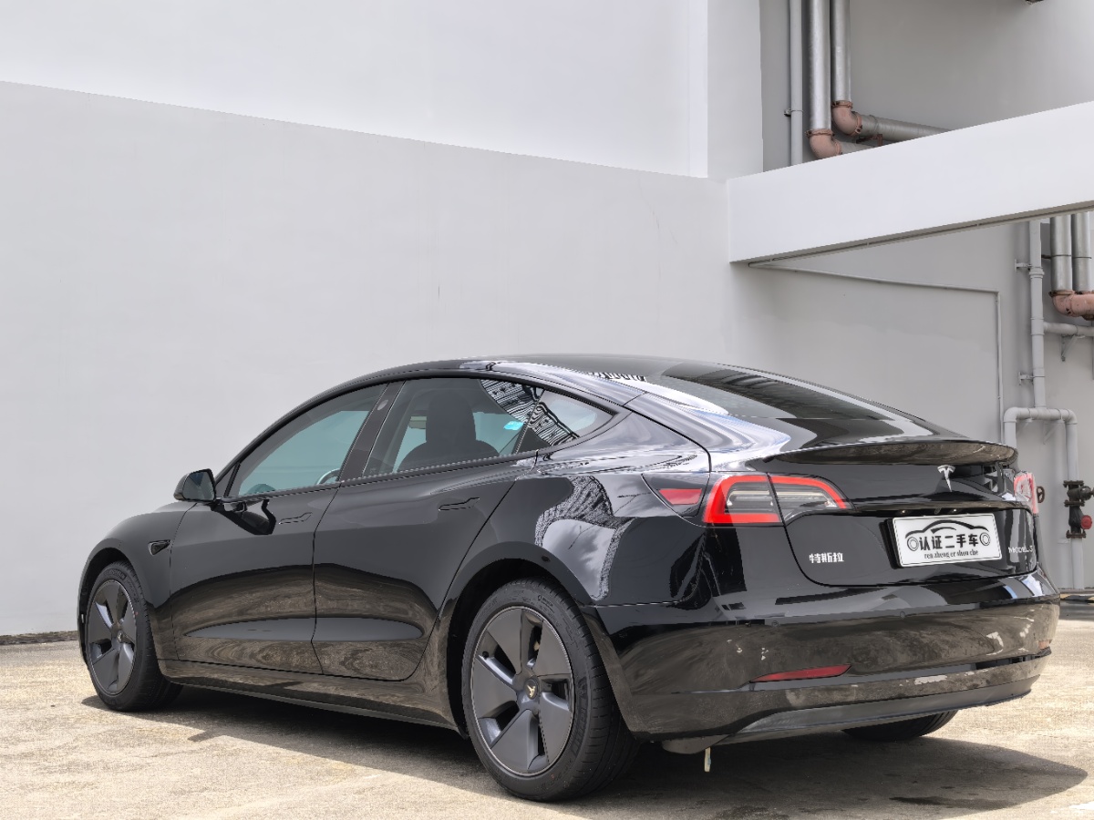 Tesla Model 3 2021 #9 Tesla Model 3 2021 car image #9
