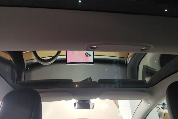 Tesla Model 3 2021 car image #18