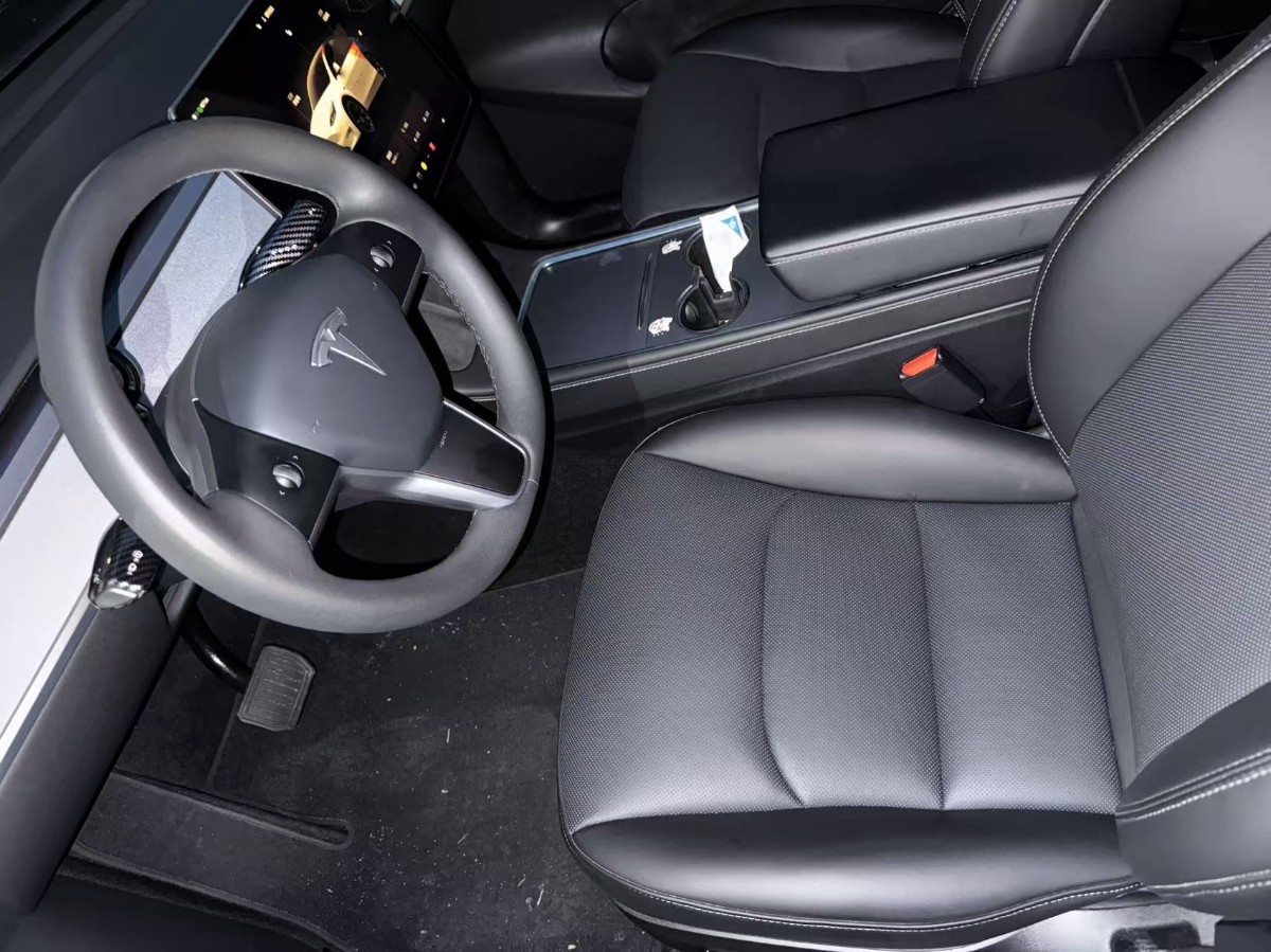 Tesla Model Y 2024 car image #6