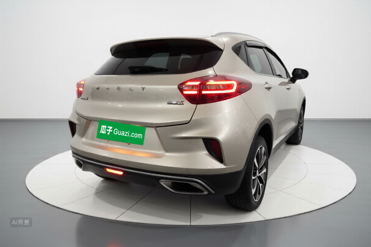 GEELY Emgrand GS 2020 car image #7