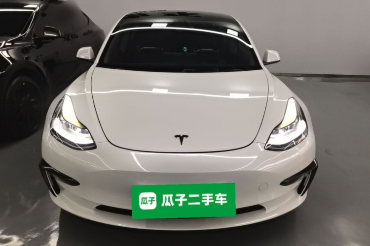 Tesla Model 3 2021 #3 Tesla Model 3 2021 car image #3