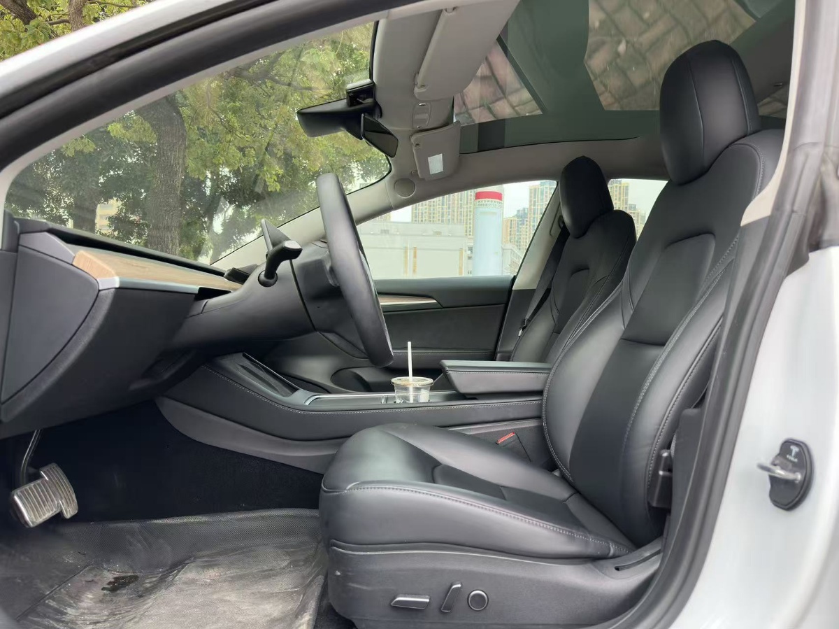 Tesla Model 3 2021 #3 Tesla Model 3 2021 car image #3