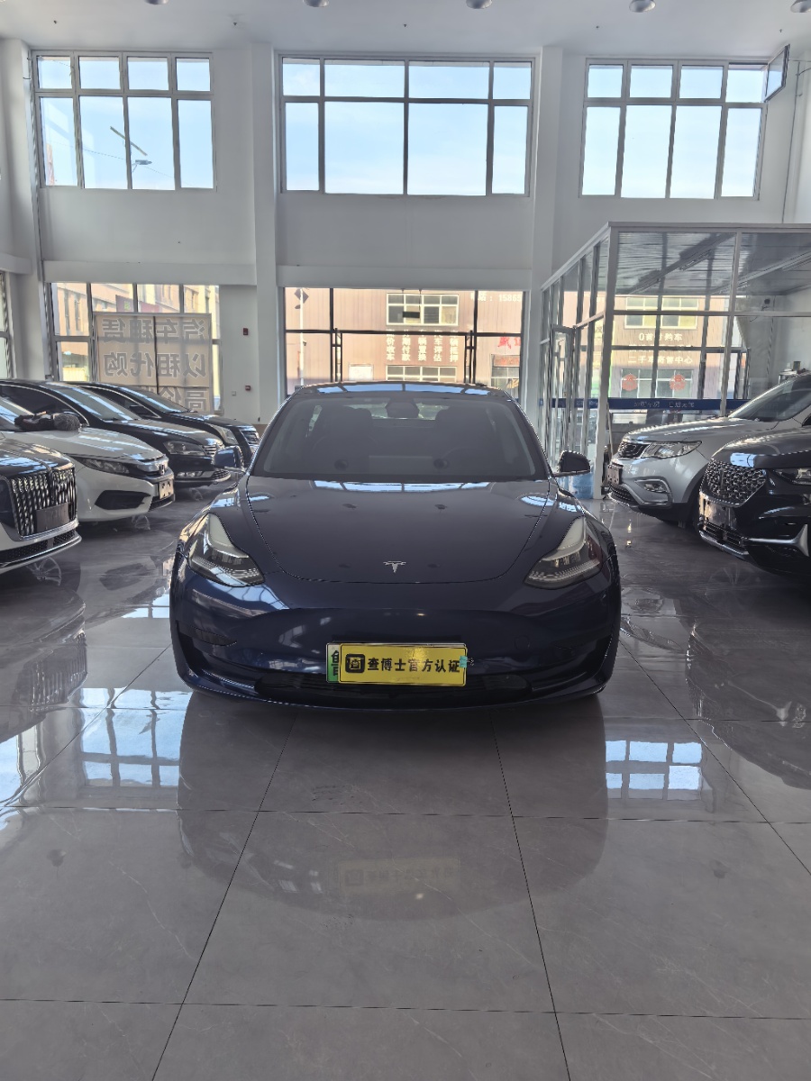Tesla Model 3 2020 car image 