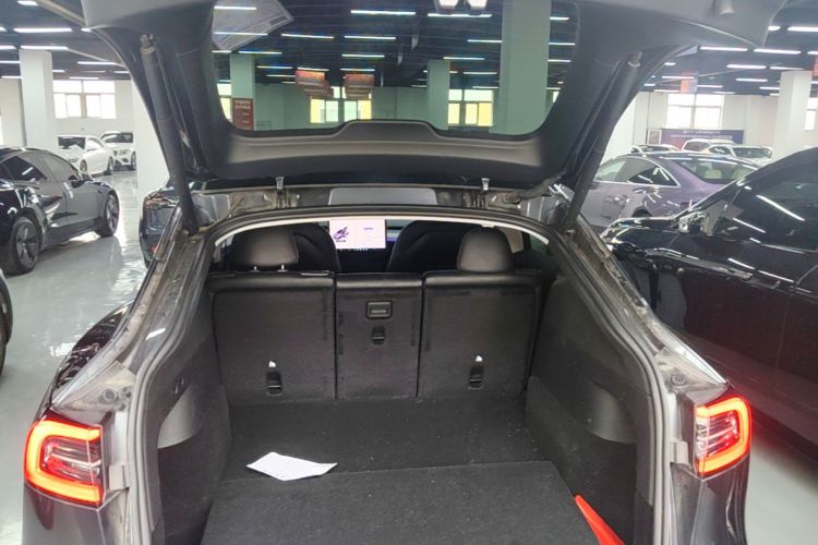 Tesla Model Y 2024 car image #19