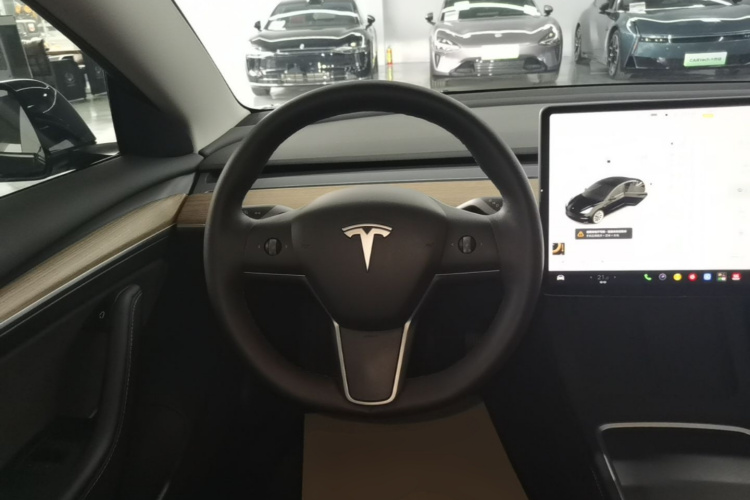 Tesla Model 3 2021 #11 Tesla Model 3 2021 car image #11