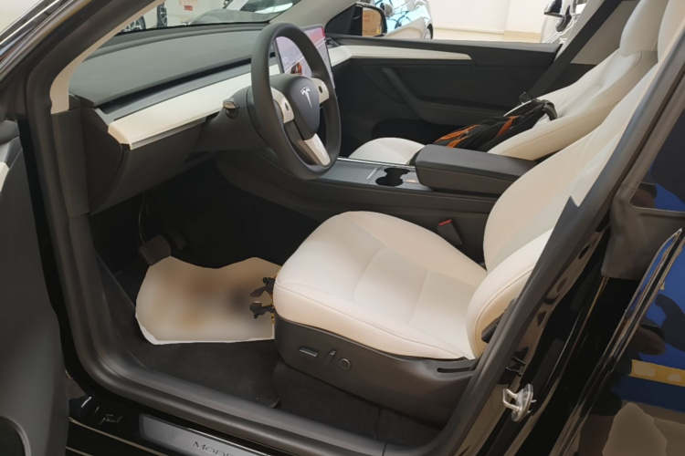 Tesla Model Y 2021 #15 Tesla Model Y 2021 car image #15