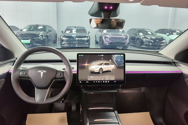Tesla Model Y 2024 car image #10