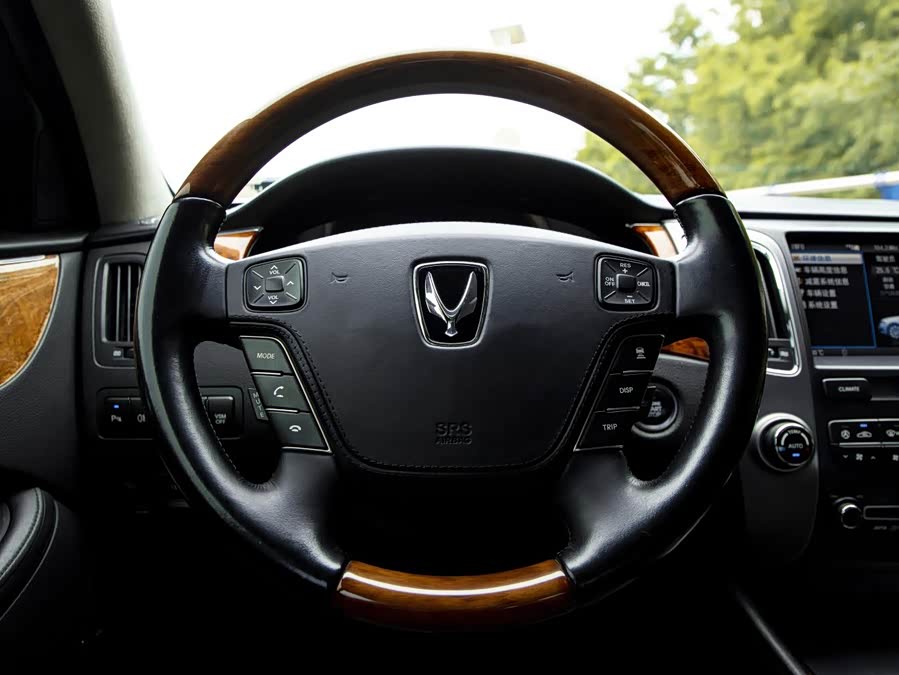 Hyundai Equus 2011 car image #23