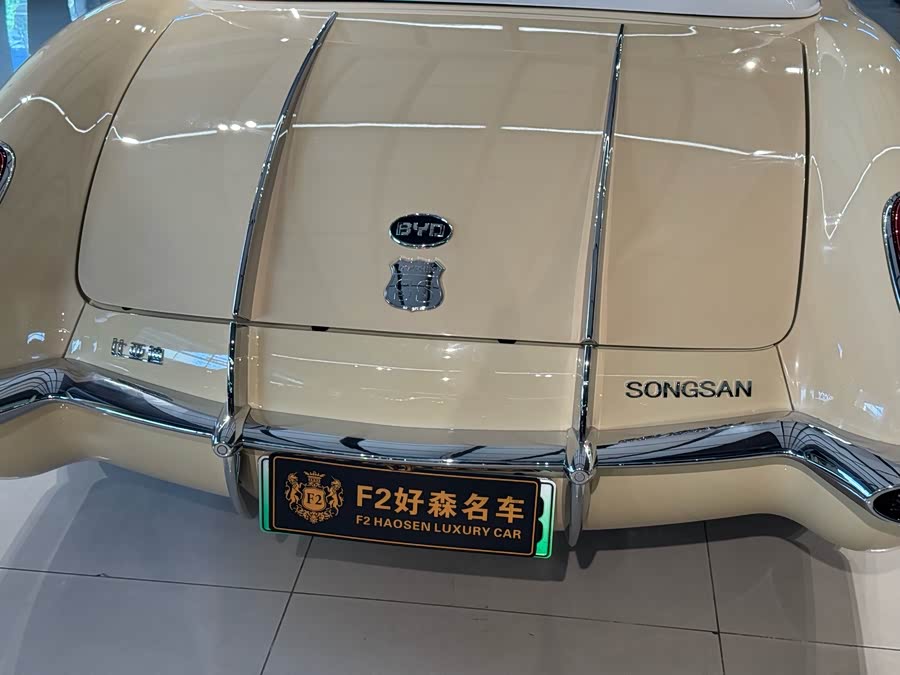 SONGSAN MOTORS SS DOLPHIN 2023 汽车图片 #23