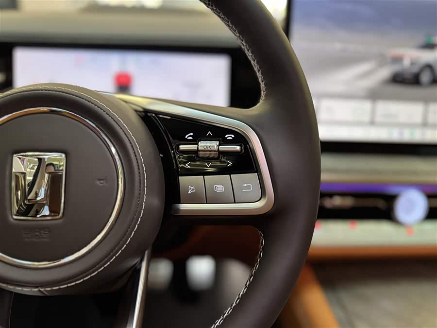 Tank 500 New Energy 2024 immagine di auto #23