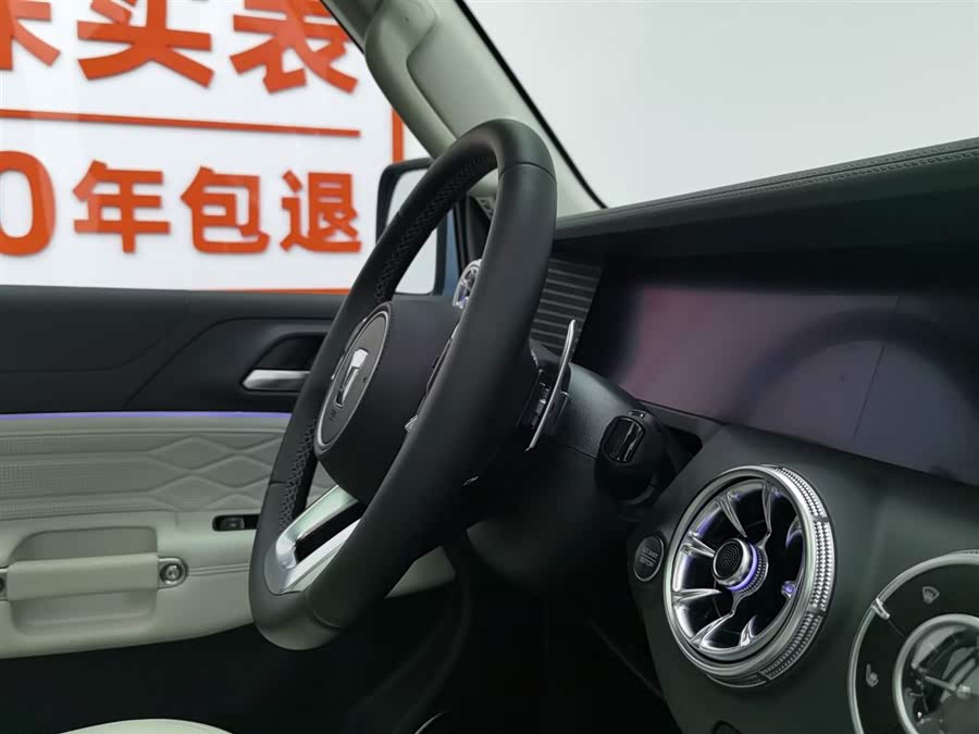 Tank 300 New Energy 2024 car image #23