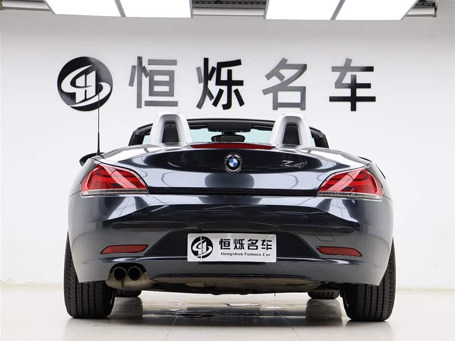 BMW Z4 2010 car image #23