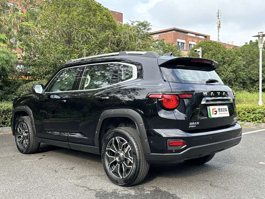 Haval X Dog 2 New Energy 2024 car image #23