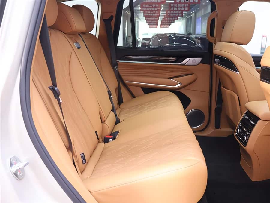 Tank 500 New Energy 2023 car image #23