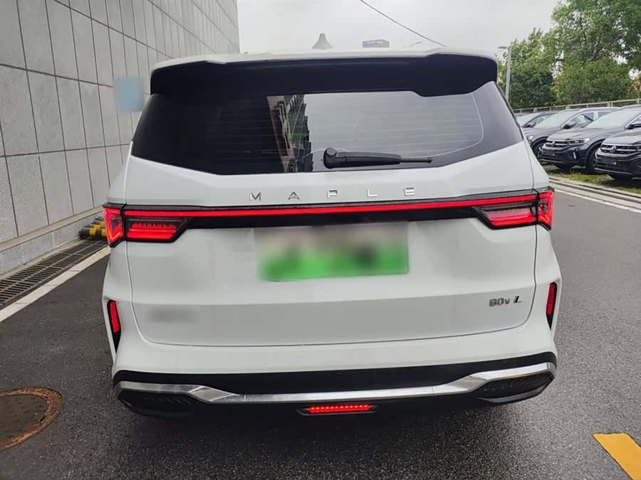 Livan Maple 80V L 2024 car image #23