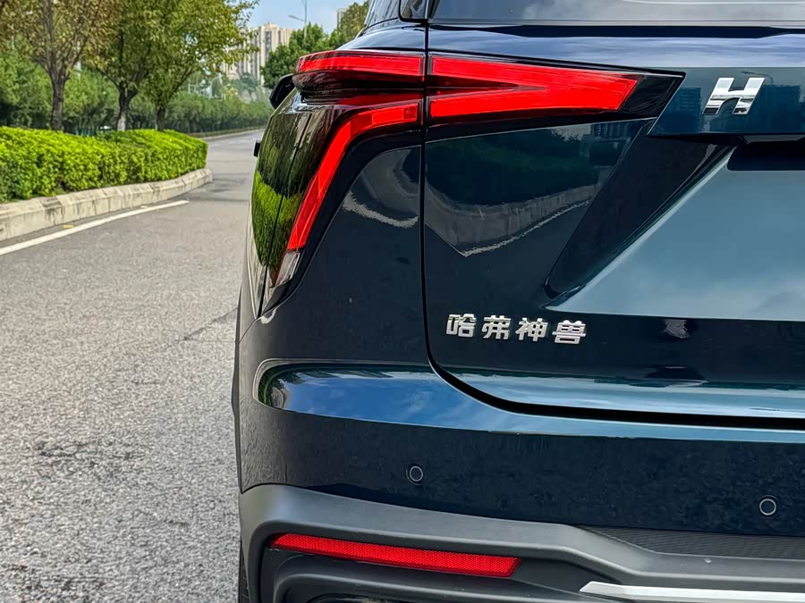 Haval XY 2023 image de voiture #23