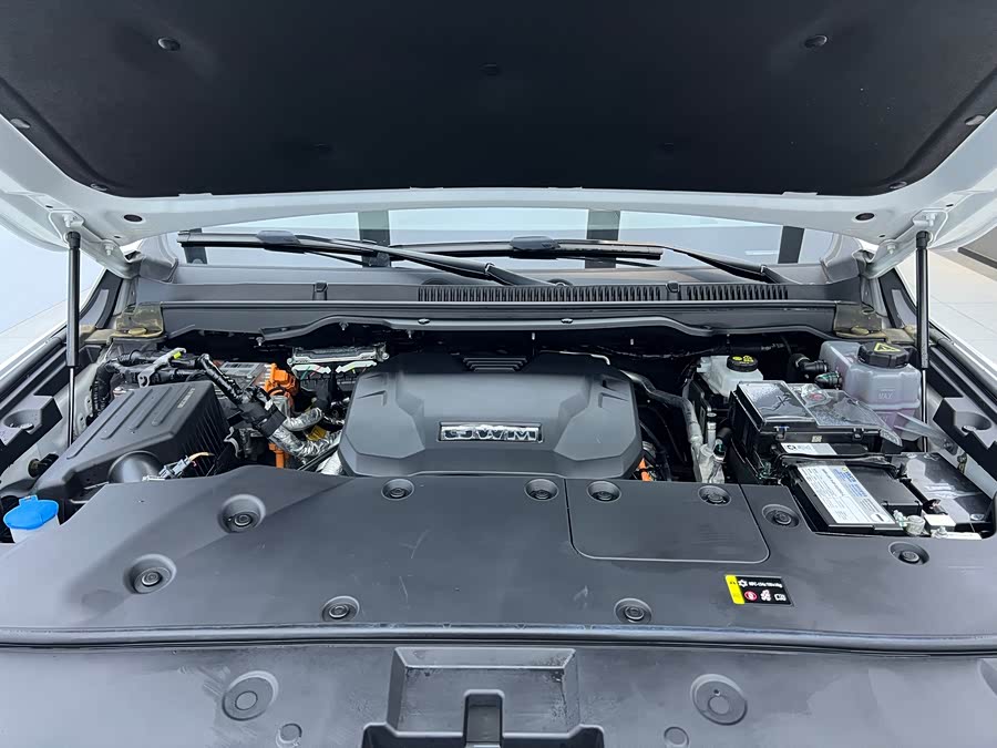 Tank 500 New Energy 2023 immagine di auto #23