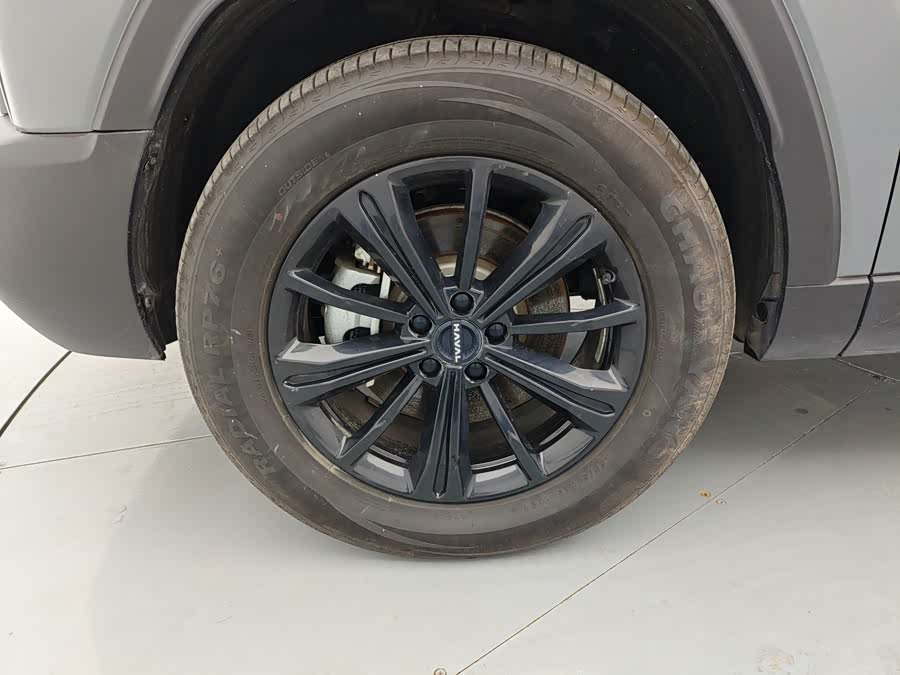 Haval Raptor New Energy 2025 car image #23