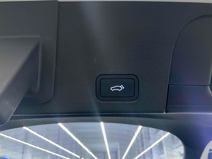 GEELY Tugella S 2022 car image #23