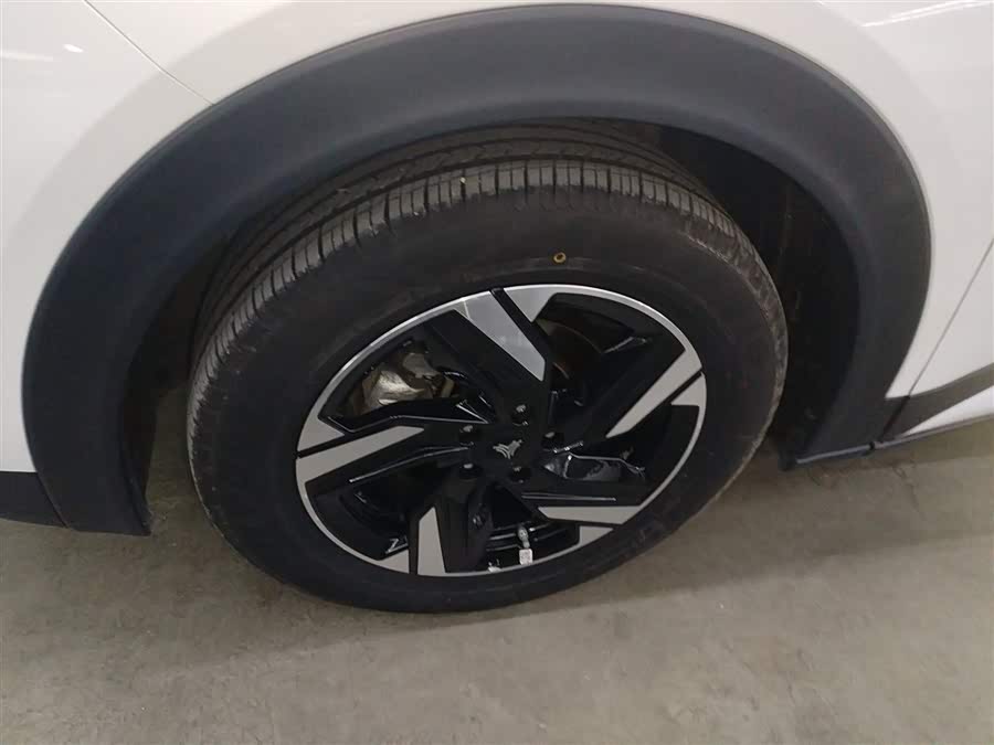 Neta X 2024 imagem de carro #23